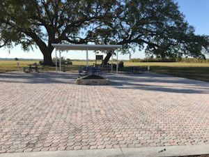 Florida Senior Community photo3